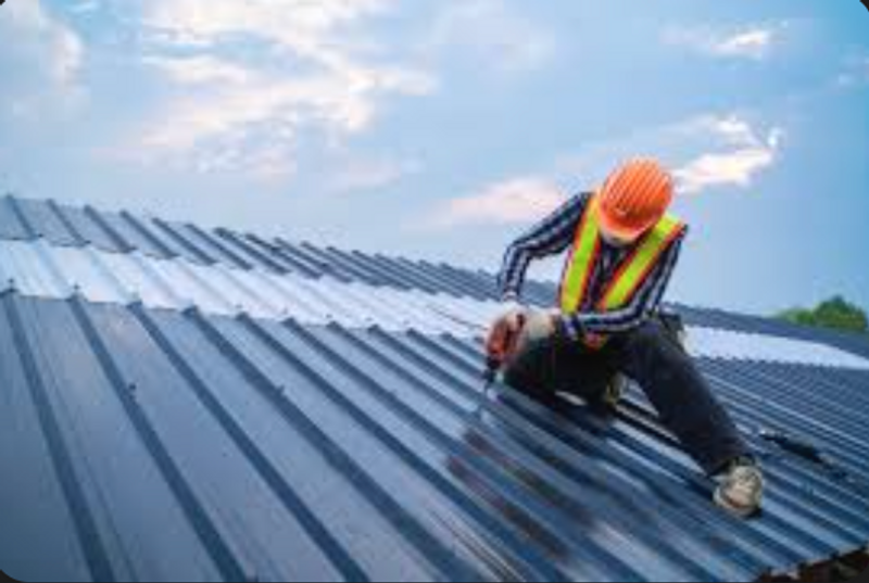 Metal roof restoration in Isle 56342